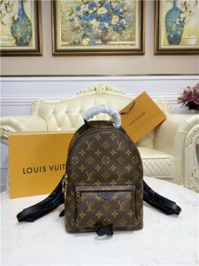 Louis Vuitton Palm Springs PM Backpack