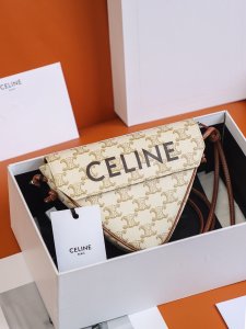 CELINE triangle bag