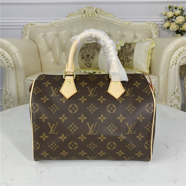 Louis Vuitton Speedy 25 Monogram Canvas