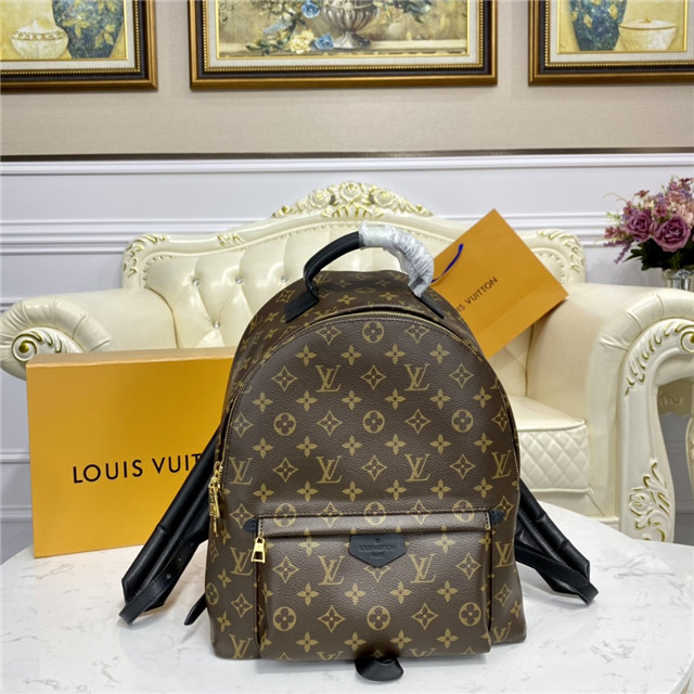 Louis Vuitton Palm Springs MM Backpack