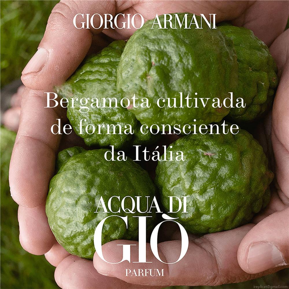 Perfume Giorgio Armani Acqua Di Giò Homme Masculino Eau de Toilette 100 ml