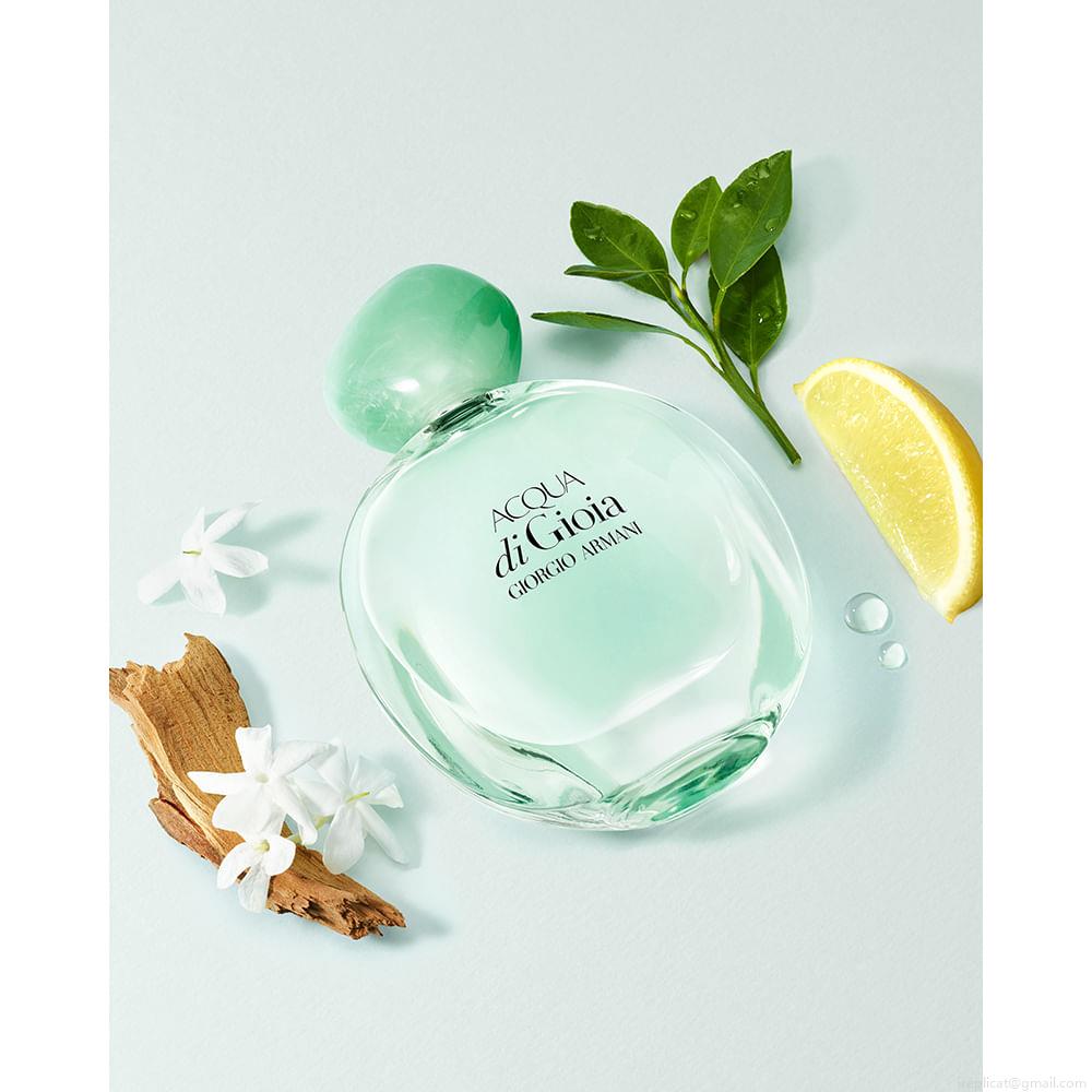 Perfume Giorgio Armani Acqua Di Gioia Feminino Eau de Parfum 100 ml